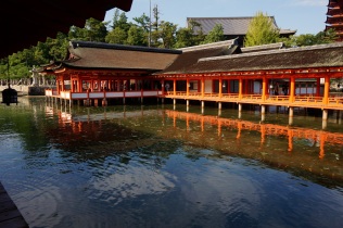 Le temple en face du Torii